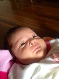 david camilo toro molano