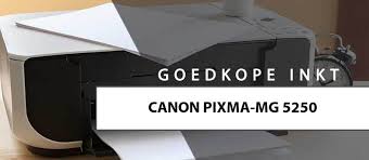 Installing a new printer on your computer typically means also installing new drivers for the printer. Goedkope Inkt Canon Pixma Mg5250 Vergelijk Cartridges 2021