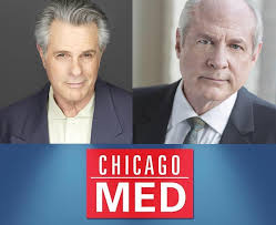 Shirley Hamilton Inc