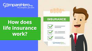 Hence, this article will serve as an introductory class to life insurance in malaysia. How Does Life Insurance In Malaysia Work Comparehero