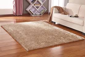 Solid Beige Area Rugs 5x7 5x7 Area Rug Beige Area Rugs Area Rugs
