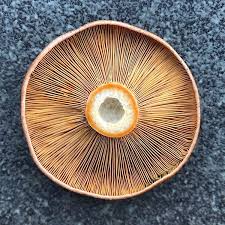 Pin On Culinary Art Gastronomy