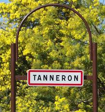 Rando du mimosa tanneron var | Sortie
