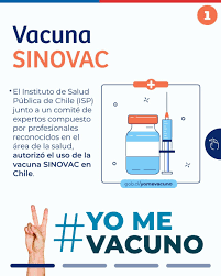 La vacuna de sinovac es la segunda en ser aprobada en chile, luego de que se iniciara la el mandatario garantizó la adquisición de 10 millones de vacunas de sinovac y de otros 10 millones de. Tdh0kho8o8tp1m