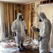 Protect Your Home and Health: The Importance of Professional Mold Removal  with Mold Remediation Viking - Mold Remediation Viking