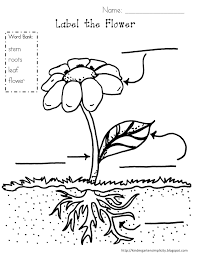 Family roots svg, family roots clipart, family roots vector, family roots png, family roots cut files. Plant Coloring Coloring Home