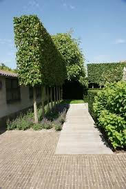 Strakke Leibomen Haagbeuk Goed Te Snoeien Met Mooie Onderbeplanting Andre Meilink Tuin Bestrating Tuin Tuin Ideeen