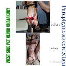 It is a medical emergency that can cause serious complications. Facebook