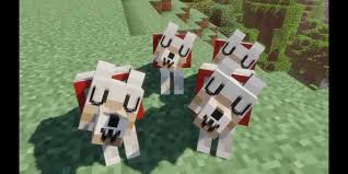 We're a community of creatives sharing everything minecraft! Minecraft Doggo Uwu Uwu