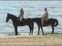 ну погоди мультик смотреть онлайн бесплатно в хорошем качестве Peredel Seriya 3 Serialy Artist Filmy