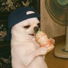 Elvira Olvera (@elvira_olvera)