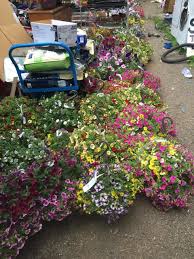 Trust coupons.com for electronic accessories savings. Vancouver Police Man Stole 157 Hanging Plants From Fred Meyer Other Stores Katu