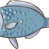 Octopus octopus octopus cartoon octopus octopus emoticon pack. Https Encrypted Tbn0 Gstatic Com Images Q Tbn And9gctak85kdsoh2xl27srq4hcfqabuzuzk1cxxdhwftve Usqp Cau