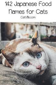 142 Japanese Food Names For Cats Cute Cat Names Japanese Food Names Cute Cats