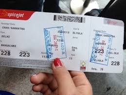 On Choosing The Flight You Can Book Flight Tickets By Providing The Passenger Names Age And Gender Address Identit Book Flight Tickets Flight Ticket Flight