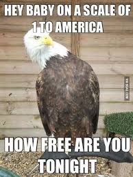 On A Scale Of 1 To America How Free Are You Tonight Lol Funny Pick Pick Up Lines Funny