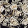 Story image for saltwater pearl from Wall Street Journal