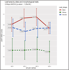 Image result for Salacia kraussii