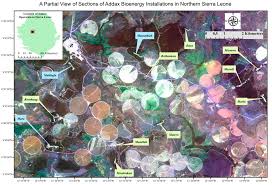 Sales, commission, inspector, account manager. Sustainability Free Full Text Effects Of Large Scale Acquisition On Food Insecurity In Sierra Leone Html