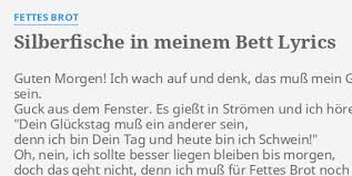 Silberfische in meinem bett headknot instrumental 5 09. Silberfische In Meinem Bett Lyrics By Fettes Brot Guten Morgen Ich Wach
