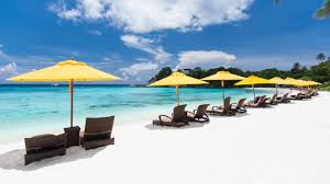 Secrets Akumal Riviera Maya Resort Adults Only C$ 367 (C̶$̶ ̶1̶,̶0̶9̶1̶).  Akumal Hotel Deals & Reviews - Kayak