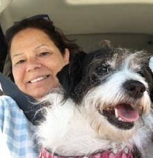 Real Title Services: Expert Title Searching & Retrieval