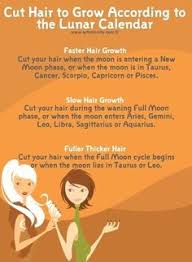 11 Best Lunar Hair Chart Images Lunar Hair Chart Hair