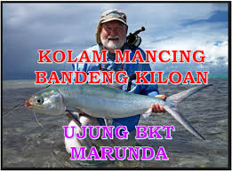 Tempat Mancing Ikan Bandeng Kiloan Marunda Jakarta Utara Aliems Journey