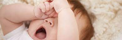 Cliquez ici pour en savoir plus sur les tiques et la maladie de lyme ! Comment Endormir Bebe Conseils Et Astuces By Bledina