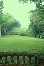Our resort is located on sri lanka's east coast, on the beach, between two world famous surf points, whiskey point and pottuvil point. Pin On Gardens
