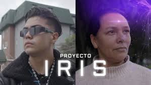 Proyecto Iris