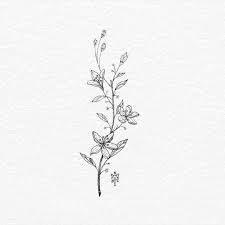 Pinterest Y A R I Simplistic Tattoos Wildflower Tattoo Tattoos