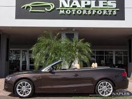 Image result for Teak Brown 2011 A5