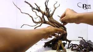 Membuat Bonsai Aquascape Sederhana 3 Youtube Aquascape Aquarium Landscape Bonsai