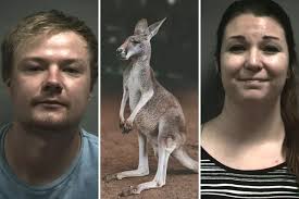 The Scandal of Texas District Attorney Rick Roach