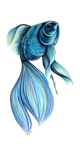Fish Art Goldfish Print Blue Goldfish Painting Goldfish Wall Art Giclee Print Goldfish Art Fish Art Fish Drawings