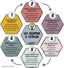 Image result for Histamine