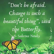 37 Inspirational Butterfly Quotes To Lift Up Your Day Think About Such Things He missed short putts because of the uproar of butterflies in the adjoining meadows. 37 inspirational butterfly quotes to