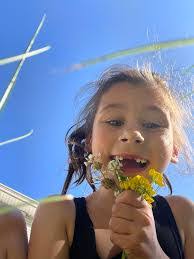 Donna Sears's Instagram, Twitter & Facebook