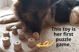 This product behaves as a puzzle . 9 Best German Shepherd Puzzle Toys That Will Blow Your Dog S Mind Shepherd Sense