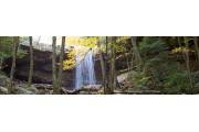 The price is $524 per night. Campground Details Ohiopyle State Park Pa Pennsylvania State Parks