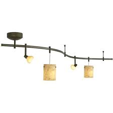 Tiella 4 Light Decorative Flexible Track Light Track Lighting Kits Amazon Com Flexible Track Lighting Track Lighting Kits Track Lighting