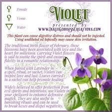Pin By Bethany Stalford On Spells Magic Herbs Herbal Magic Magickal Herbs