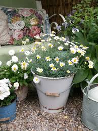 Vintage Enamel Bucket From Lavender House Vintage Vintage Enamel Flowers Daisies Garden Bench Cottage Home Flower Pots Garden Containers Vintage Garden