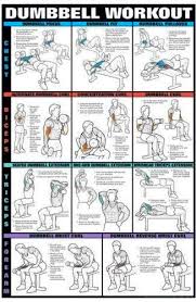 Www Buyamag Com Bodybuilding Posters Exercise Workout Charts