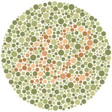 Their world appears as generally. New Outlook For Colorblindness Wsj