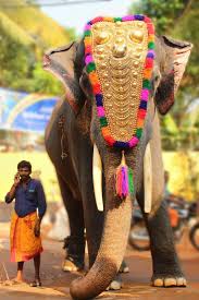 India Incredible Festival In Kerala India Culture Kerala India The Incredibles