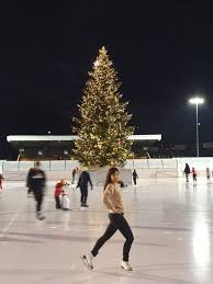 Ice Skating Is My Passion In 2020