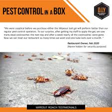 About 30 cockroach species out of 4,600 are associated with human habitats. Cockroach Control Kit Pest Control In A Box Shopee Malaysia