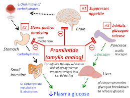Image result for Pramlintide